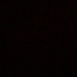 Meet your Posher, Gianna